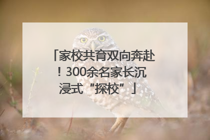 家校共育双向奔赴！300余名家长沉浸式“探校”
