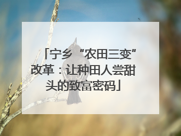 宁乡“农田三变”改革：让种田人尝甜头的致富密码