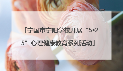 宁国市宁阳学校开展“5•25”心理健康教育系列活动
