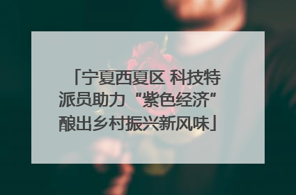 宁夏西夏区 科技特派员助力“紫色经济”酿出乡村振兴新风味
