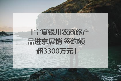 宁夏银川农商旅产品进京展销 签约额超3300万元