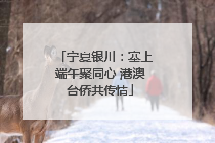 宁夏银川：塞上端午聚同心 港澳台侨共传情