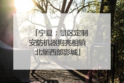 宁夏：景区定制安防机器狗亮相镇北堡西部影城