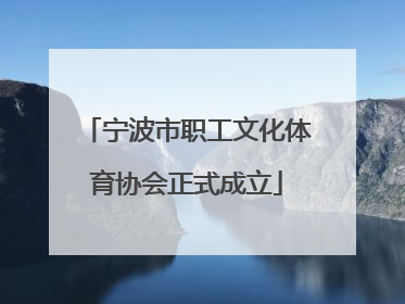 宁波市职工文化体育协会正式成立