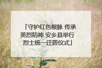 守护红色根脉 传承英烈精神 安乡县举行烈士统一迁葬仪式