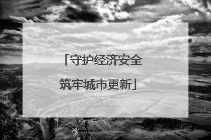守护经济安全 筑牢城市更新