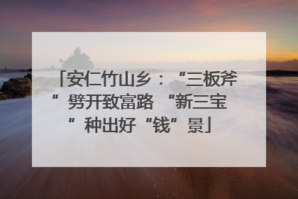 安仁竹山乡：“三板斧”劈开致富路 “新三宝”种出好“钱”景