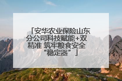 安华农业保险山东分公司科技赋能+双精准 筑牢粮食安全“稳定器”