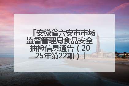 安徽省六安市市场监督管理局食品安全抽检信息通告（2025年第22期）