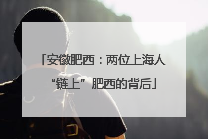 安徽肥西：两位上海人“链上”肥西的背后