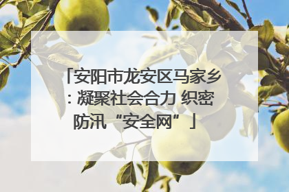 安阳市龙安区马家乡：凝聚社会合力 织密防汛“安全网”