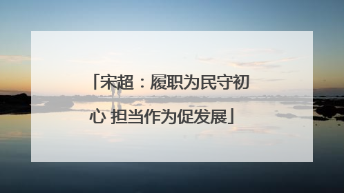 宋超：履职为民守初心 担当作为促发展