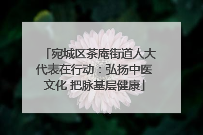 宛城区茶庵街道人大代表在行动：弘扬中医文化 把脉基层健康