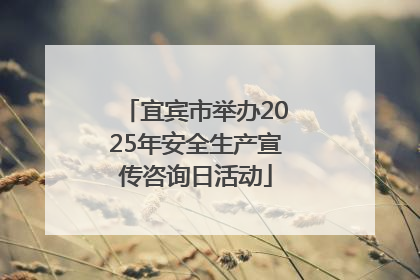 宜宾市举办2025年安全生产宣传咨询日活动