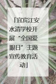 宜宾江安水清学校开展“全国爱眼日”主题宣传教育活动