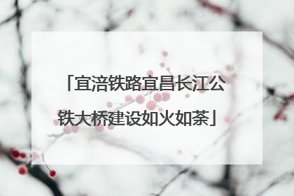 宜涪铁路宜昌长江公铁大桥建设如火如荼