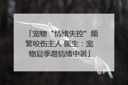 宠物“情绪失控”频繁咬伤主人 医生：宠物夏季易情绪中暑