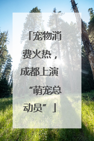 宠物消费火热，成都上演“萌宠总动员”