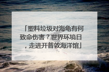 塑料垃圾对海龟有何致命伤害？世界环境日，走进开普敦海洋馆
