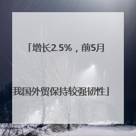 增长2.5%，前5月我国外贸保持较强韧性