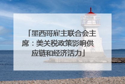 墨西哥雇主联合会主席：美关税政策影响供应链和经济活力