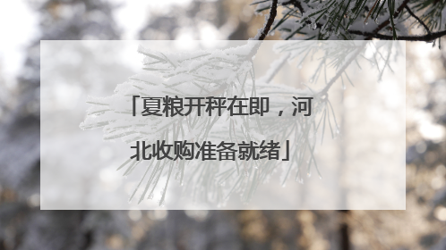 夏粮开秤在即，河北收购准备就绪