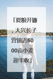 夏粮开镰，大兴长子营镇近6000亩小麦迎丰收