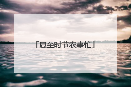 夏至时节农事忙