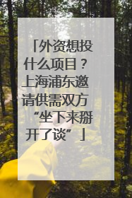 外资想投什么项目？上海浦东邀请供需双方“坐下来掰开了谈”