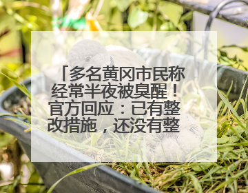 多名黄冈市民称经常半夜被臭醒！官方回应：已有整改措施，还没有整改情况