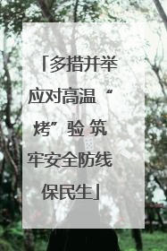 多措并举应对高温“烤”验 筑牢安全防线保民生