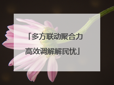 多方联动聚合力 高效调解解民忧
