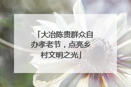 大冶陈贵群众自办孝老节，点亮乡村文明之光