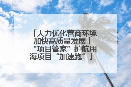 大力优化营商环境 加快高质量发展丨“项目管家”护航用海项目“加速跑”