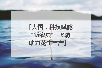 大悟：科技赋能“新农具” 飞防助力花生丰产