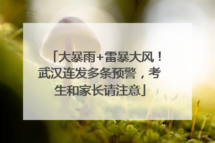 大暴雨+雷暴大风！武汉连发多条预警，考生和家长请注意