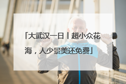 大武汉一日丨超小众花海，人少景美还免费