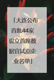 大连公布首批44家设立首席数据官试点企业名单