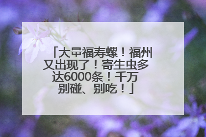大量福寿螺！福州又出现了！寄生虫多达6000条！千万别碰、别吃！