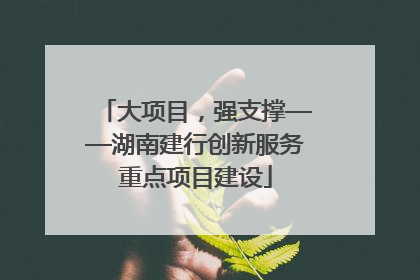 大项目，强支撑——湖南建行创新服务重点项目建设