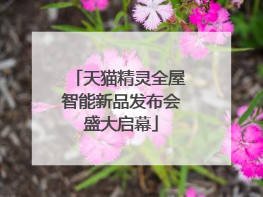 天猫精灵全屋智能新品发布会盛大启幕
