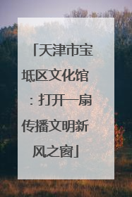 天津市宝坻区文化馆：打开一扇传播文明新风之窗