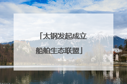 太钢发起成立船舶生态联盟
