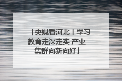 央媒看河北丨学习教育走深走实 产业集群向新向好