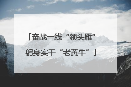奋战一线“领头雁” 躬身实干“老黄牛”