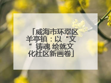 威海市环翠区羊亭镇：以“文”铸魂 绘就文化社区新画卷