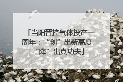 当阳晋控气体投产一周年：“创”出新高度 “降”出真功夫