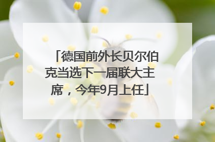 德国前外长贝尔伯克当选下一届联大主席，今年9月上任