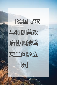 德国寻求与特朗普政府协调涉乌克兰问题立场