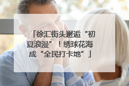 徐汇街头邂逅“初夏浪漫”！绣球花海成“全民打卡地”